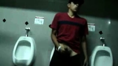 Bigcockflasher Wanking in public restroom