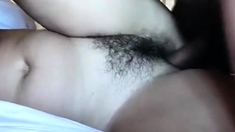 Cock plays with hairy pussy