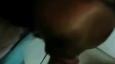 Tkw Indonesia Ml Ama Bule