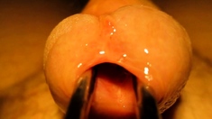 Urethral sounding and stretching with cumshot