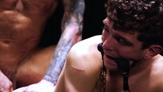 Fifty Shades Of Gay! This Dungeon Is Crazy!