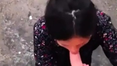 Amateur Couples: Cum Swapping And Facials